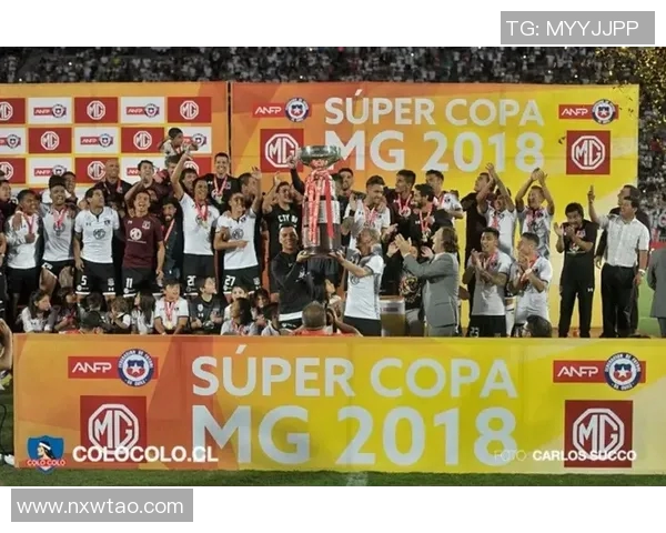 成都排球队团队协作深度解析与其他球队的对比研究