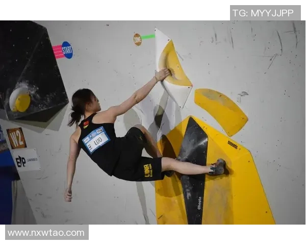 杭州攀岩队实力分析与表现评估探讨及未来发展方向研究 杭州攀岩队实力分析与表现评估探讨及未来发展方向研究