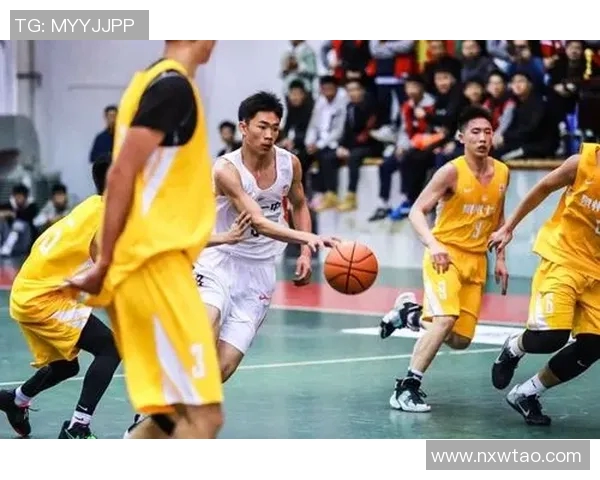 杭州篮球队速度之争引发热议球迷观点各异探讨战术与表现