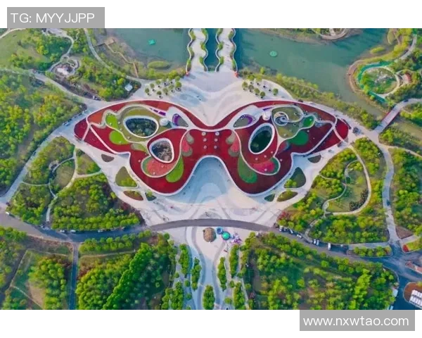 深入分析上海排球队包夹战术的优势与应用策略