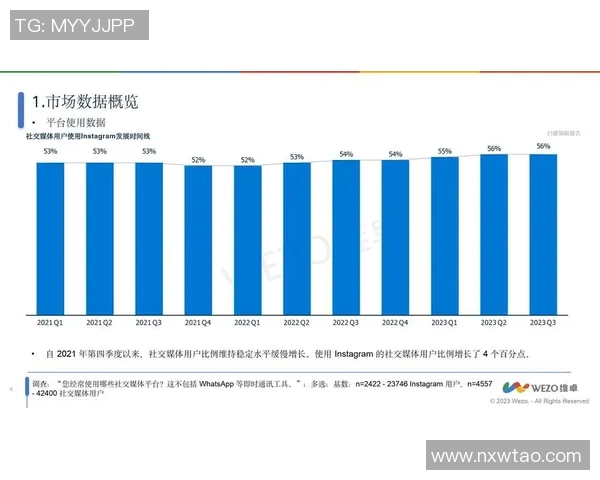 深入探讨Instagram数据分析背后的实力与表现解析