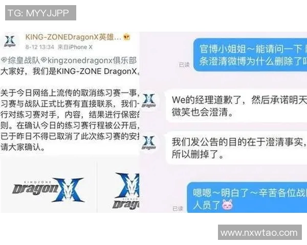 独家解析：WE战队战术布局与对手策略的深度对比分析