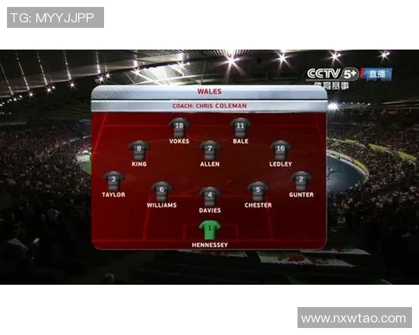 奥地利与俄罗斯精彩对决视频回顾分析及比赛亮点总结