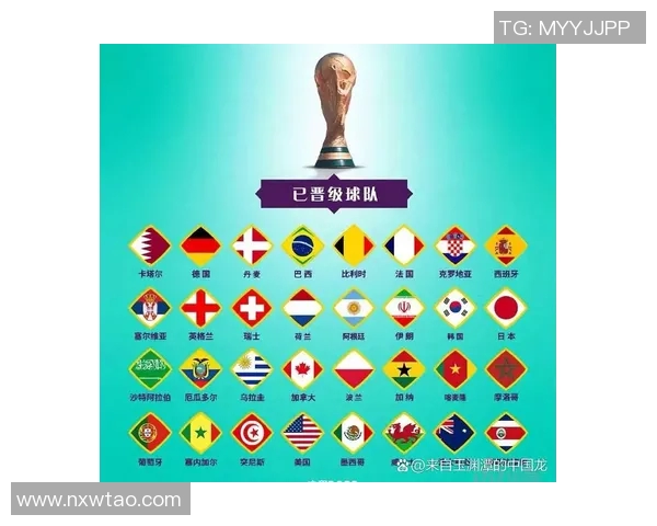 比利时与沙特足球对决解析球队实力与战术对比分析